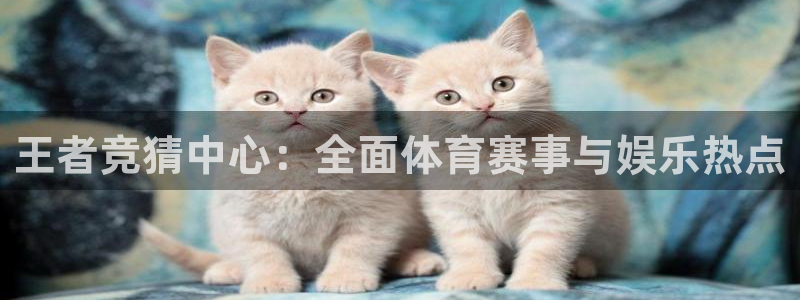 王者竞猜中心：全面体育赛事与娱乐热点