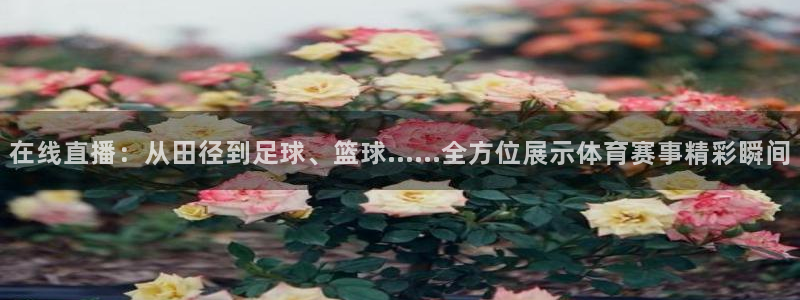 在线直播：从田径到足球、篮球……全方位展示体育赛事精彩瞬间